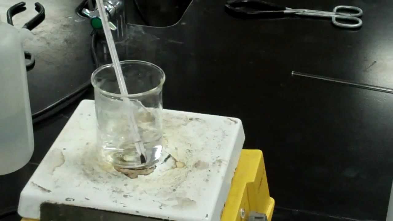 Colligative Properties_Lab:  Boiling Point Elevation