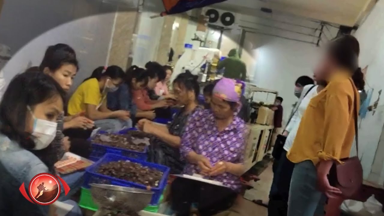 Rùng mình với quy trình sản xuất SOCOLA 