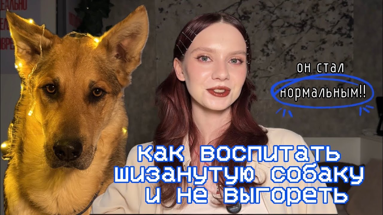 КАК Я ВОСПИТАЛА ПРОБЛЕМНУЮ СОБАКУ? Советы для гиперактивных и легковозбудимых собак
