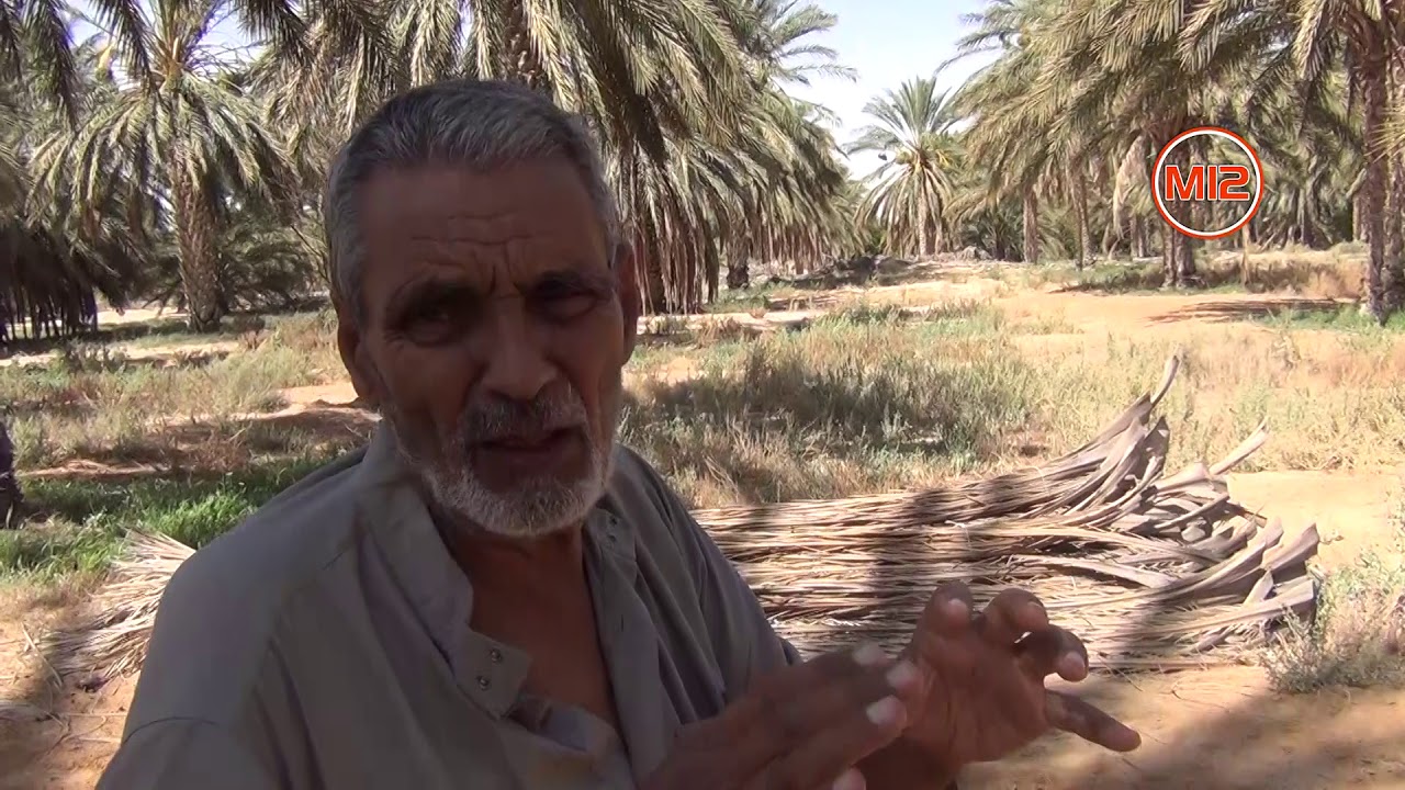الحاج محمد الصافي بنعمران : تعديل عراجبن النخلة