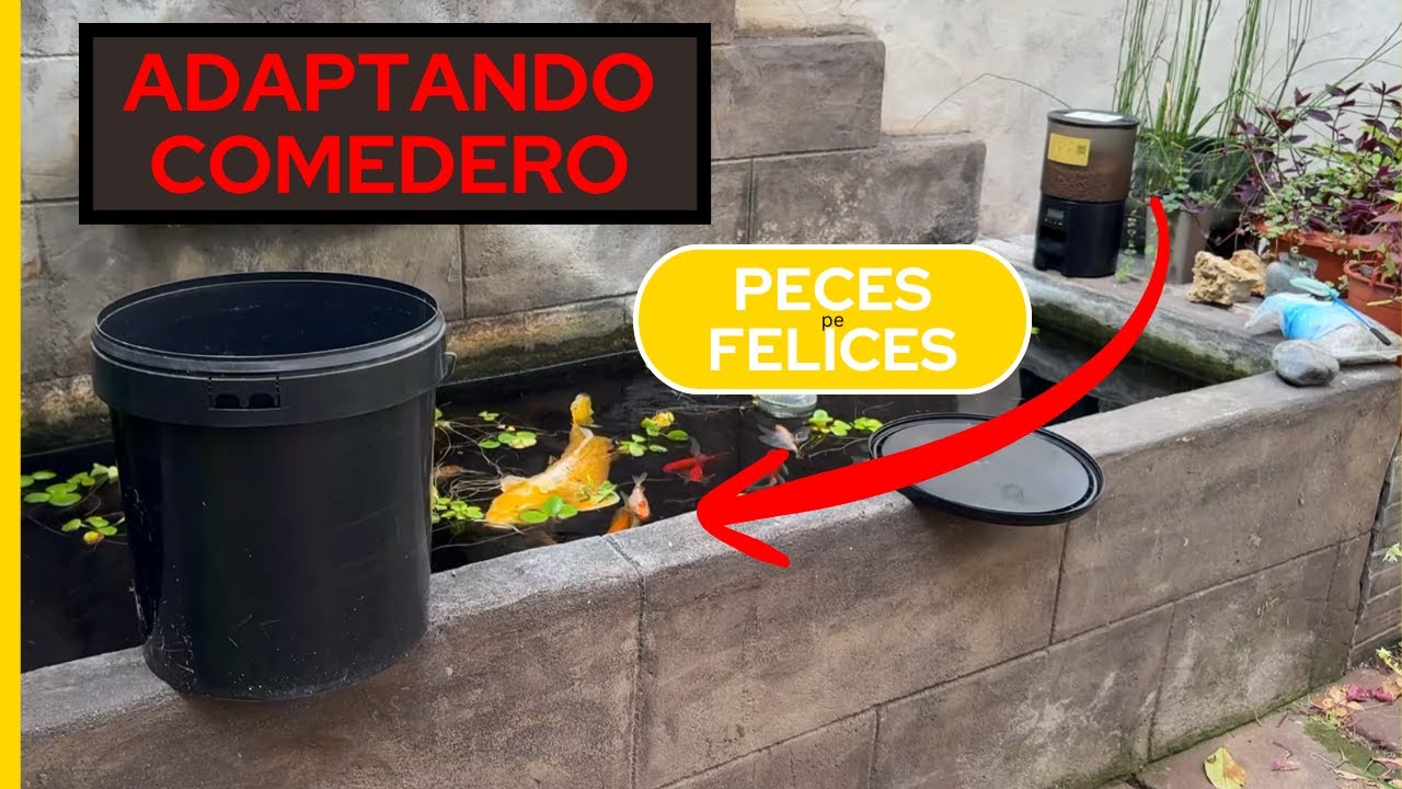 Transformé un comedero común para mi estanque, económico
