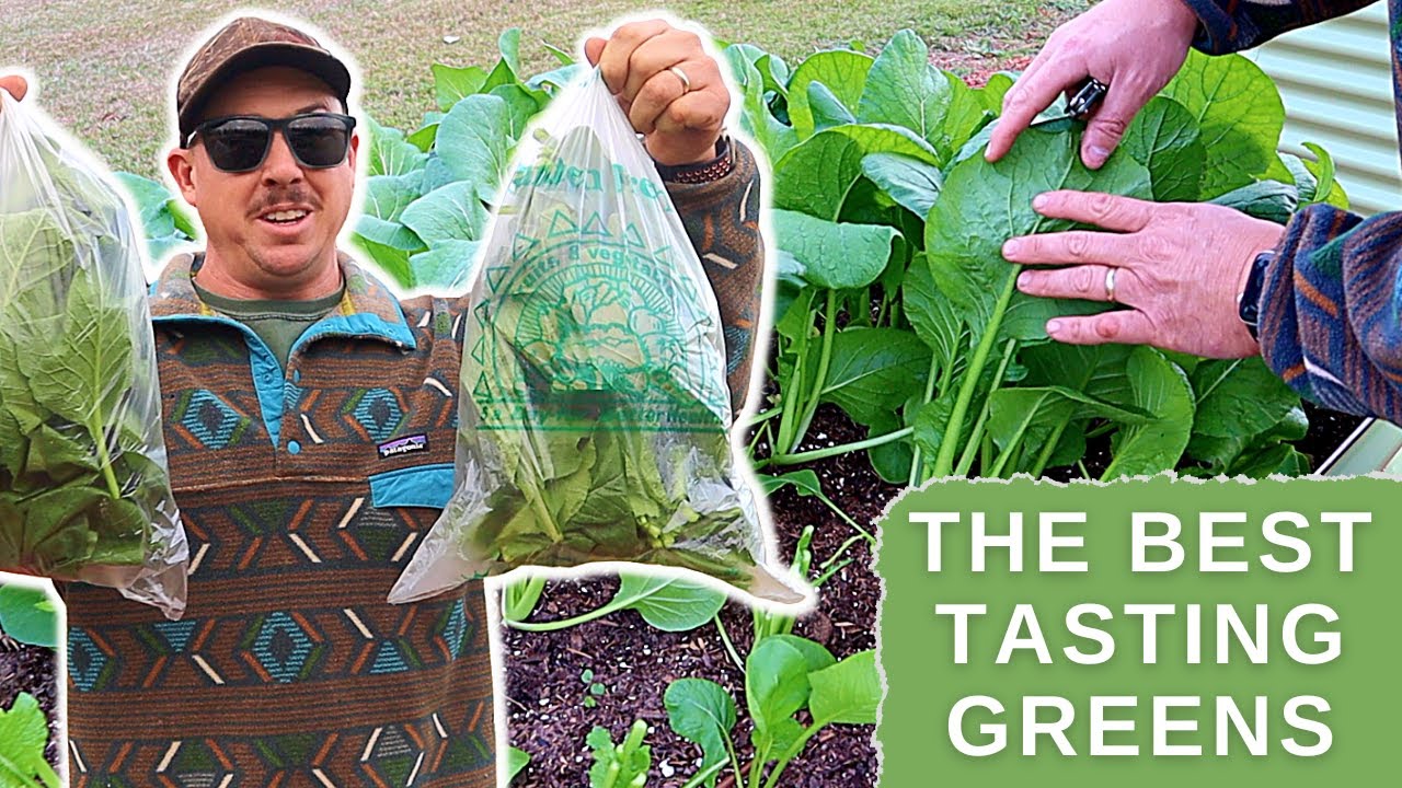 These Greens Look Too Good to Be True!