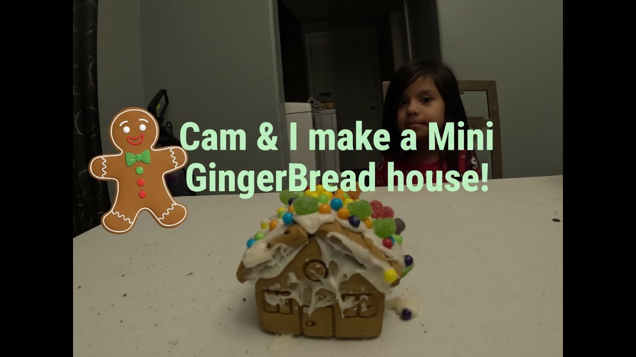 Cam and I make a Mini Gingerbread House!