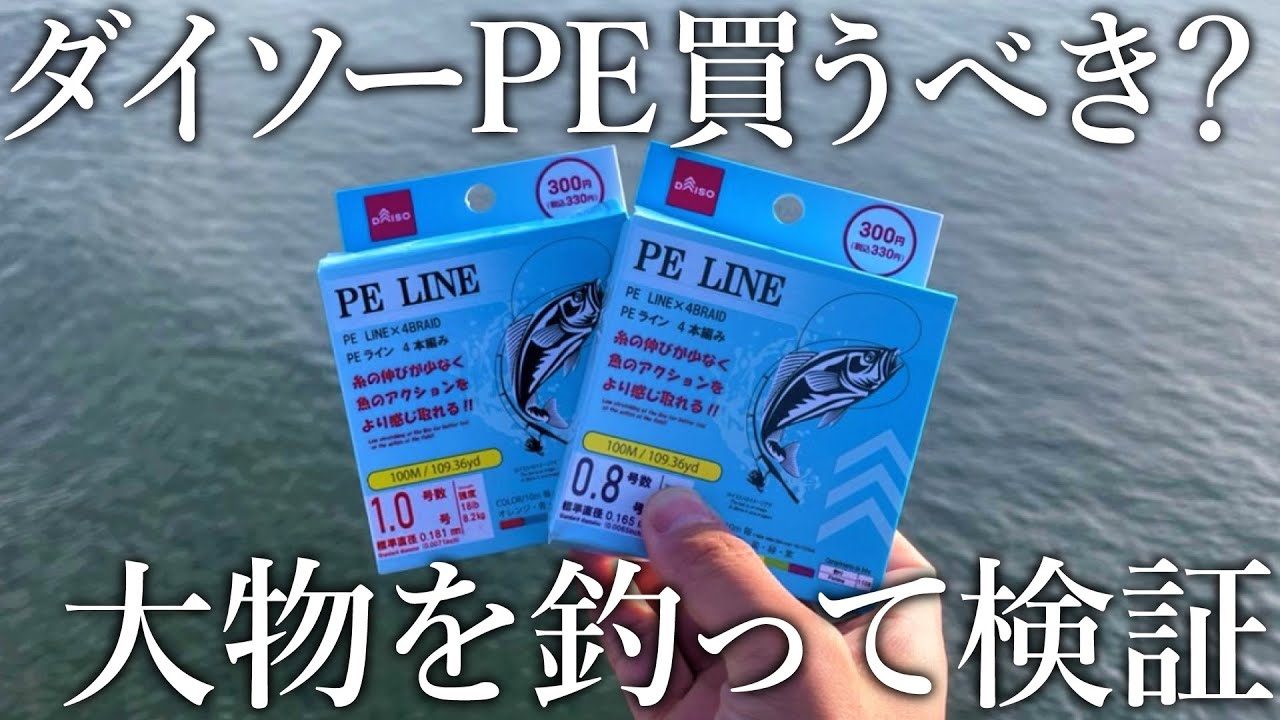 ダイソーの激安PEラインは果たして買うべきか？大物を釣りまくって検証してみた【PEラインの特徴も解説】