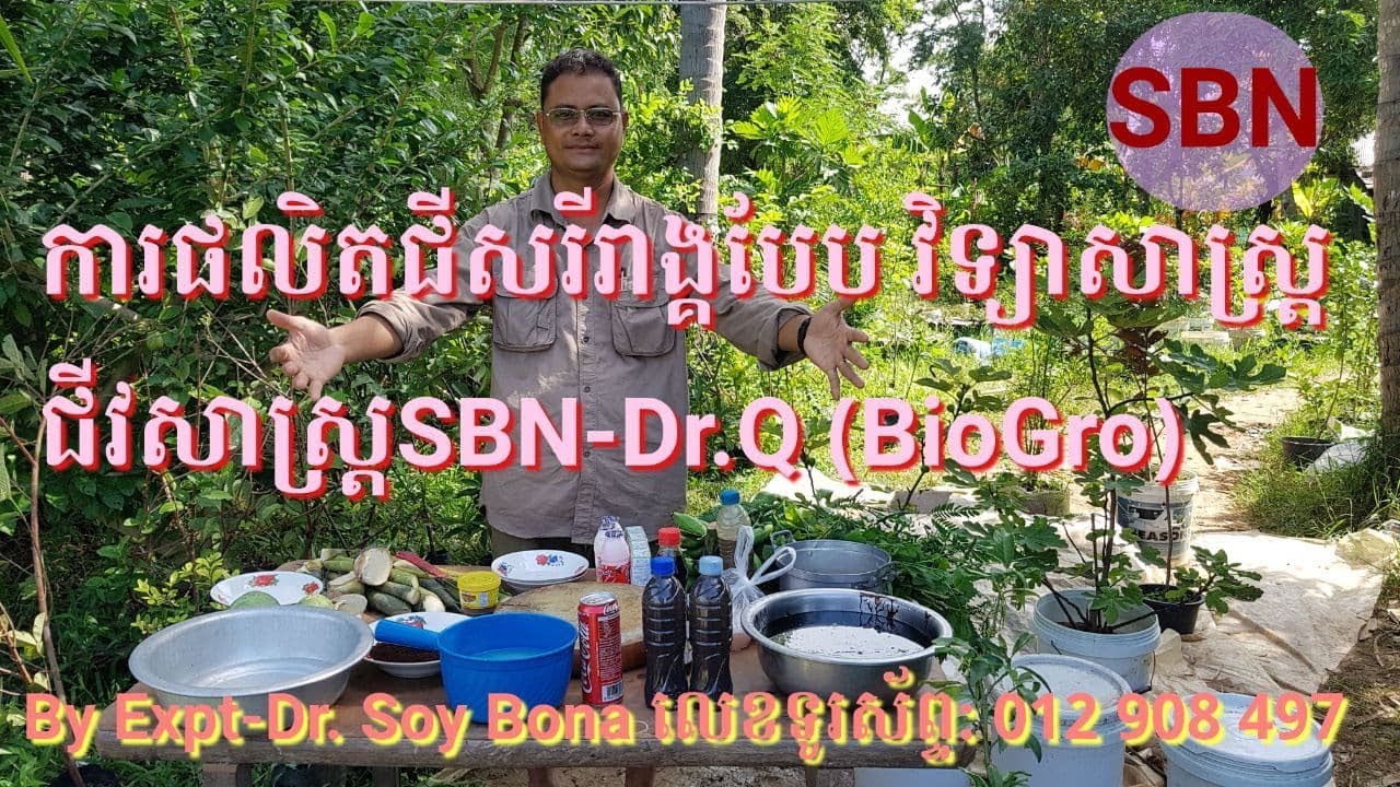 ការផលិតជីសរីរាង្គបែប វិទ្យាសាស្ត្រ ជីវសាស្រ្ត SBN-Dr.Q (BioGro) |Soy Bona|
