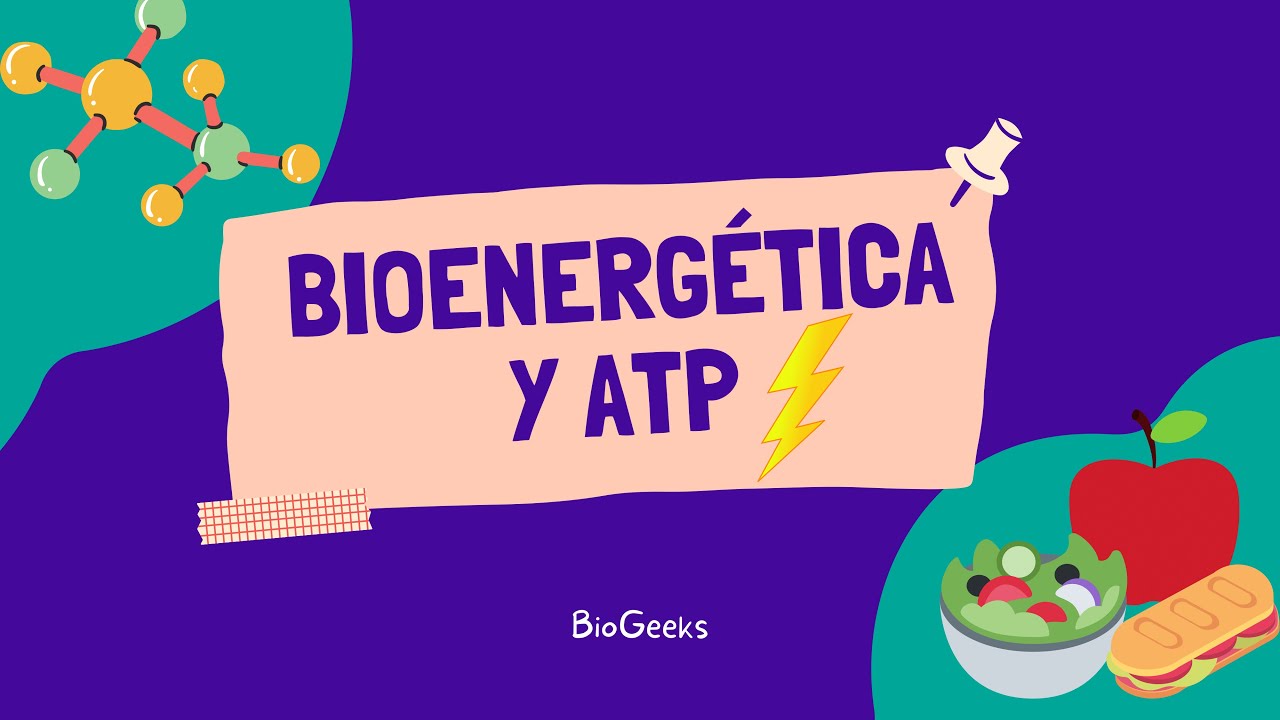 BIOENERG&Eacute;TICA