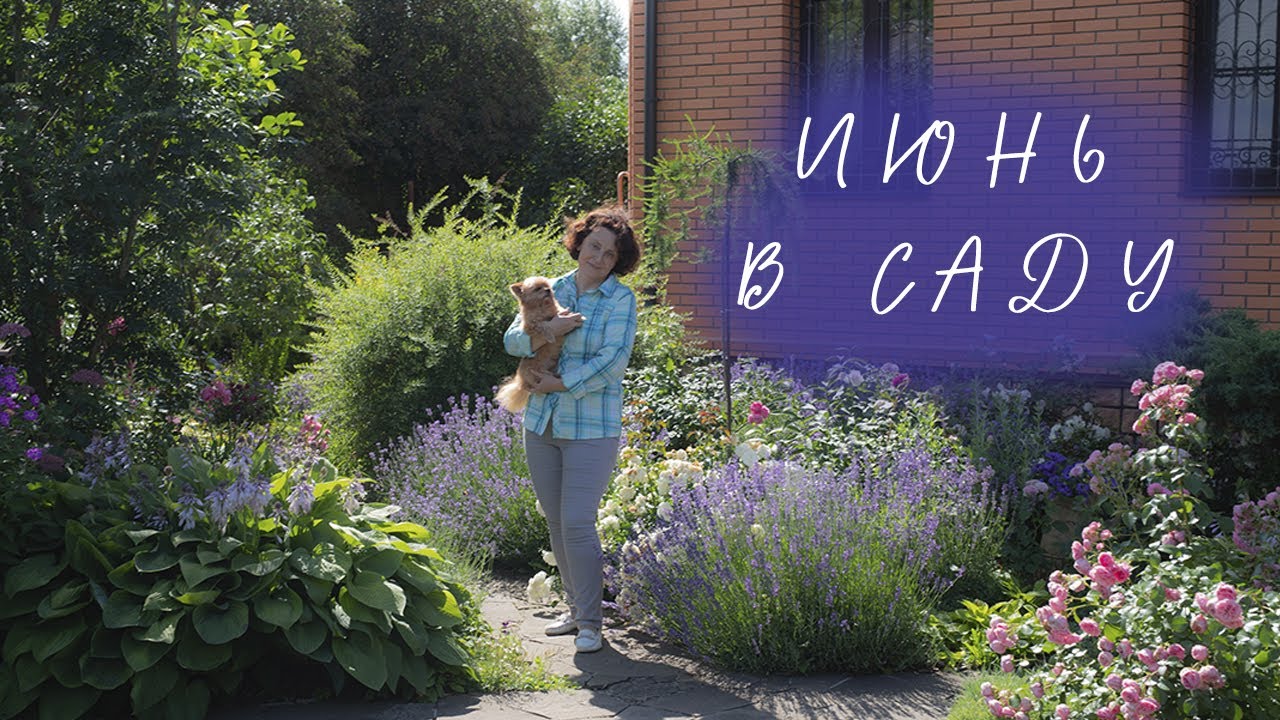 Июнь в Саду I Сад Людмилы Кудасовой