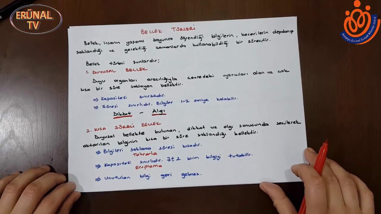 11  Sınıf Psikoloji Dersi Bellek Türleri