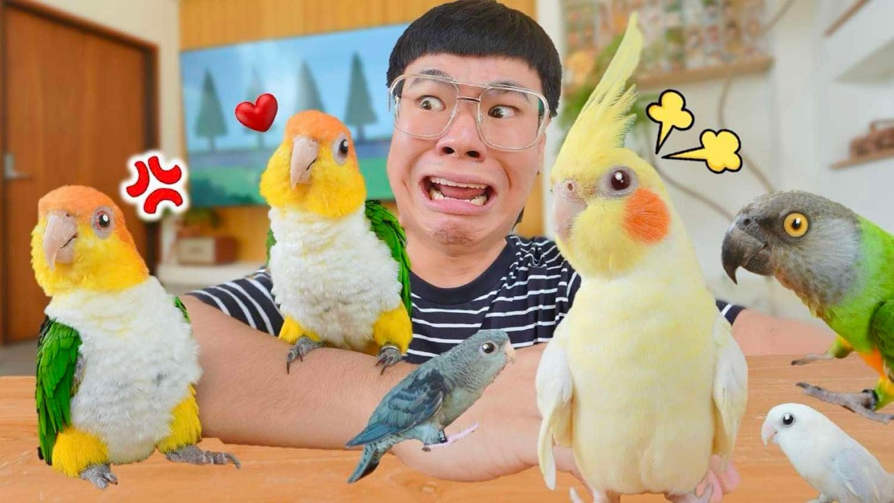 แก้วจ๋า..จะมีเพื่อนมั๊ย? เมื่อเจอกับเจ้าถิ่น!!!