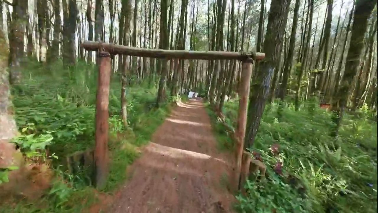 Camping Ceria  di Penghujung 2025 di Tangkal Pinus Cikole Jayagiri Lembang | DJI Avata 2 in 4k