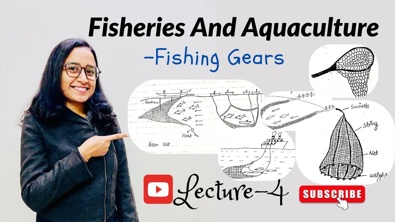Fish Gears | Hooks and Lines | Nets | Types of Nets | B.Sc. | Zoology | Notes in description .