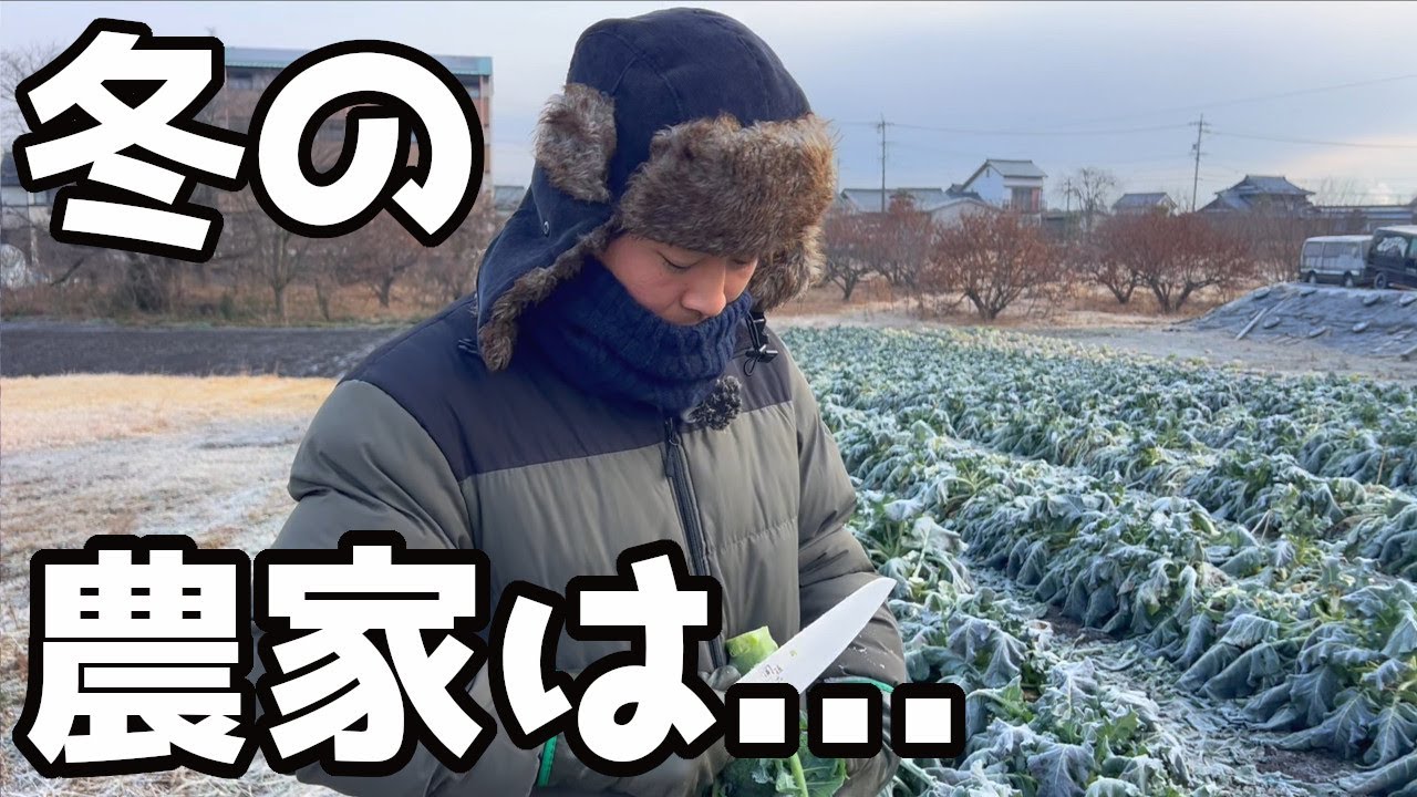 【－4℃】冬の農家のリアルな現状