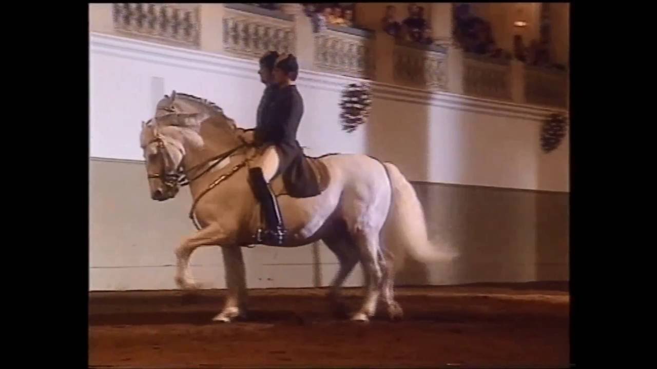 Spanische Reitschule Wien 1994 (2/6) - Pas de Deux