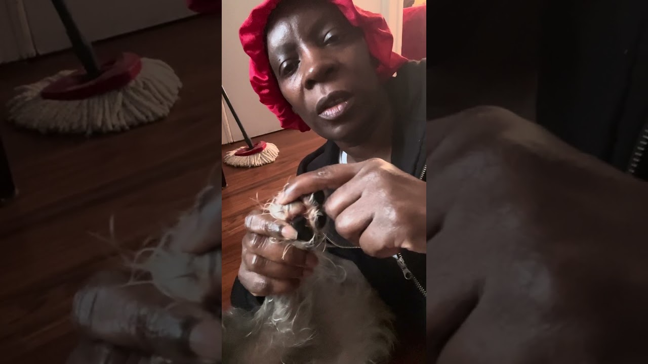 Doing daily paw care for painful blister on my pup’s paw @ To Mention A Channel 