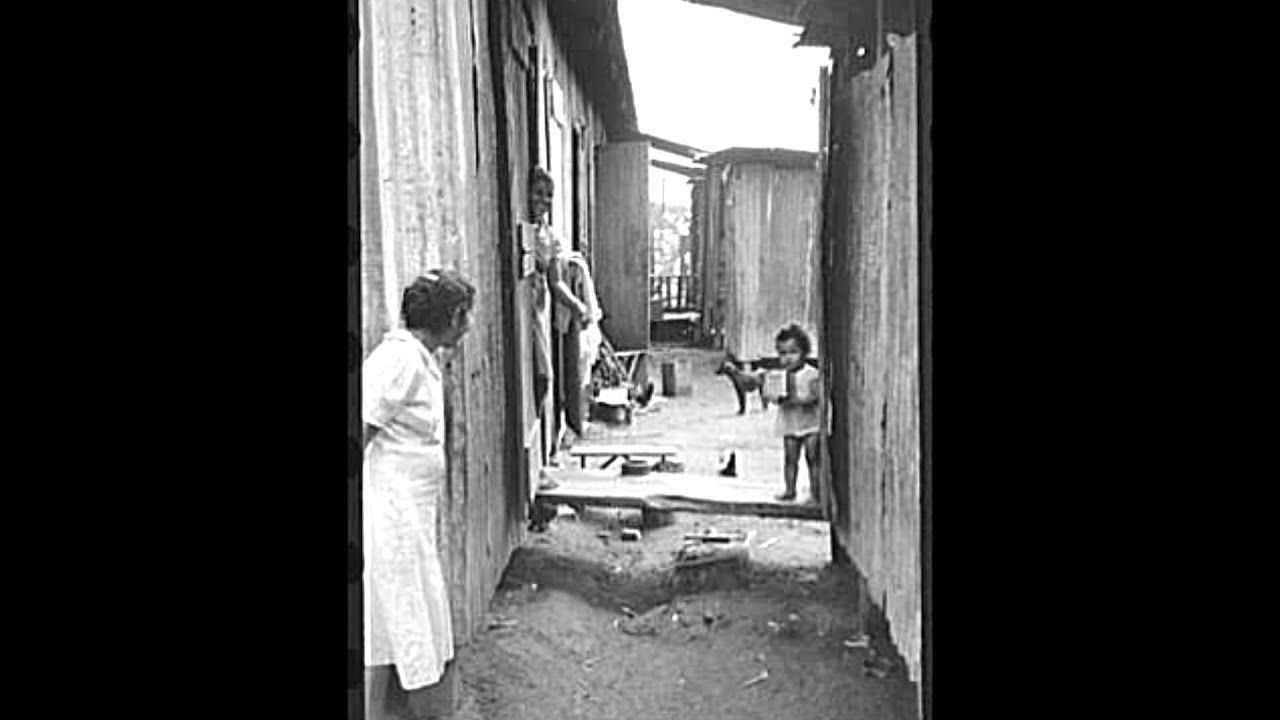 Herman E. Johnson - Motherless Children