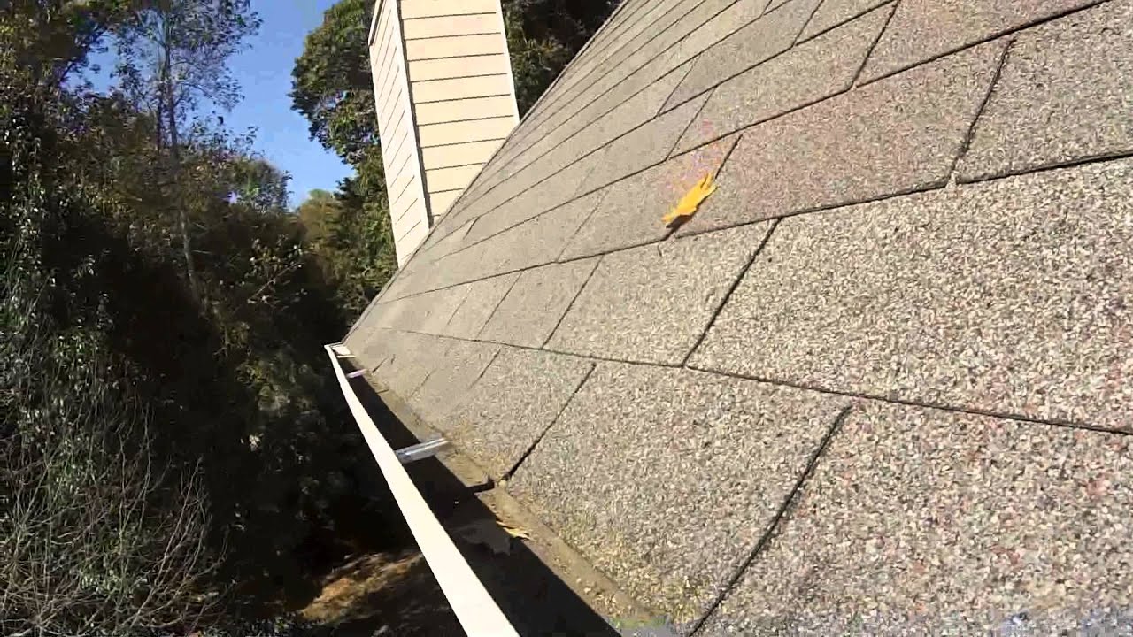Squirrel Exclusion