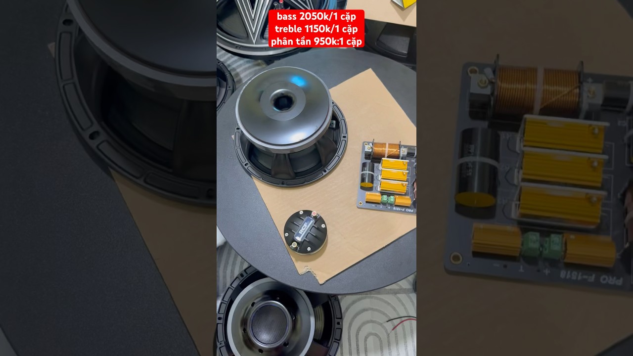 combo loa bass 25 nr350a từ 190 coil 76 l&ecirc;n th&ugrave;ng cực hay