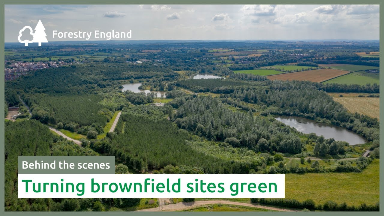 Turning brownfield sites green | Sence Valley woodland creation