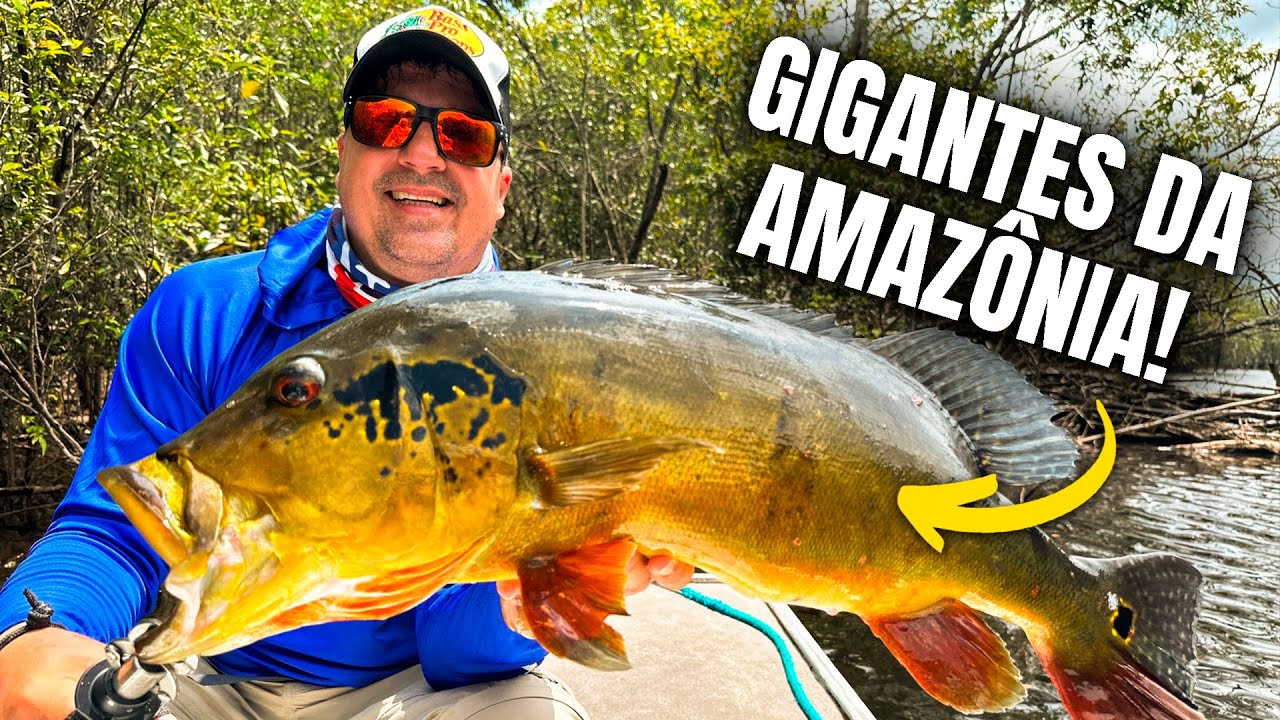 RIO ITAPARÁ - PESCARIA AMAZÔNIA TUCUNARÉ AÇU GIGANTE! A MELHOR PESCA DA MINHA VIDA!!!  PARTE 1 #1