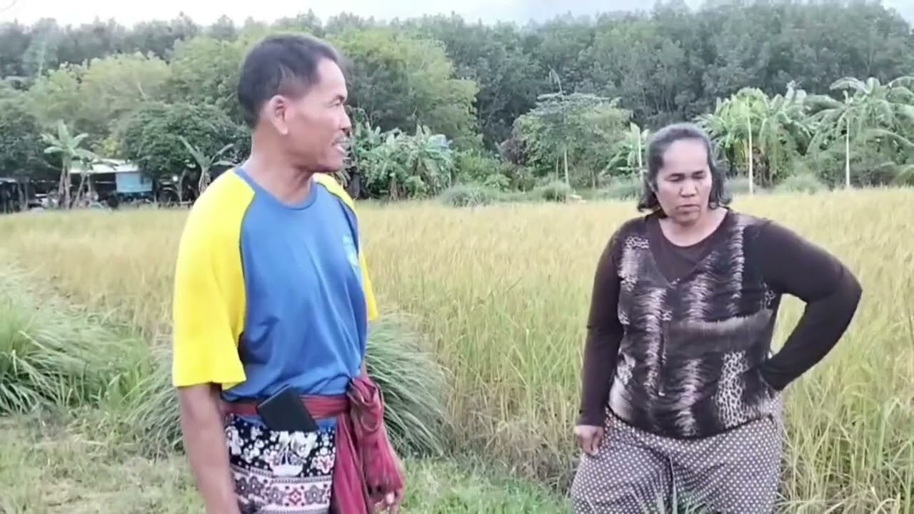 ละครสั้นตลกขำๆฮาๆ ตอน.ผัวหายวันลอยกระทง #ตลก #ตลกฮาฮา #ตลกคลายเครียด #ยายกูด สายฮาพาม่วน