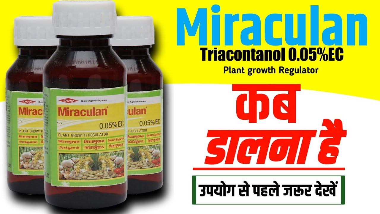 Miraculan Plant growth regulator | Triacontanol 0.05 ec | Dow Miraculan