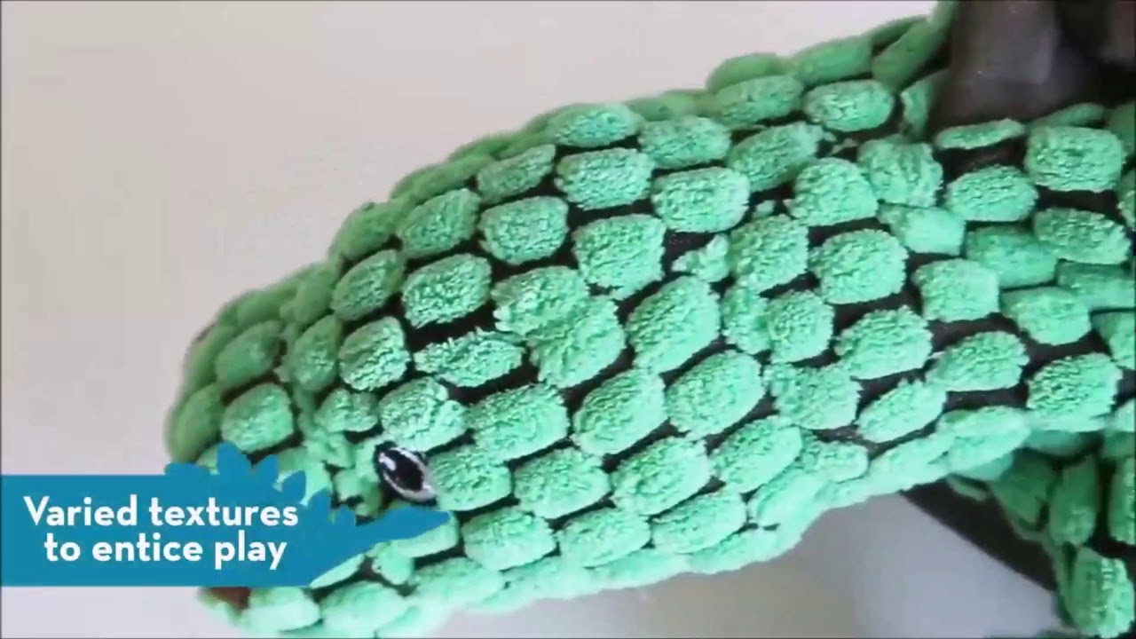 Kong Dynos - Jouet Peluche Solide Doublure Renforcée pour Chien - Vetostore