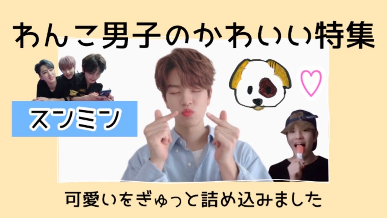 【スキズ沼🐶スンミン編】ダンディーボーイのかわいいを集めてみました【Stray kids/日本語字幕】