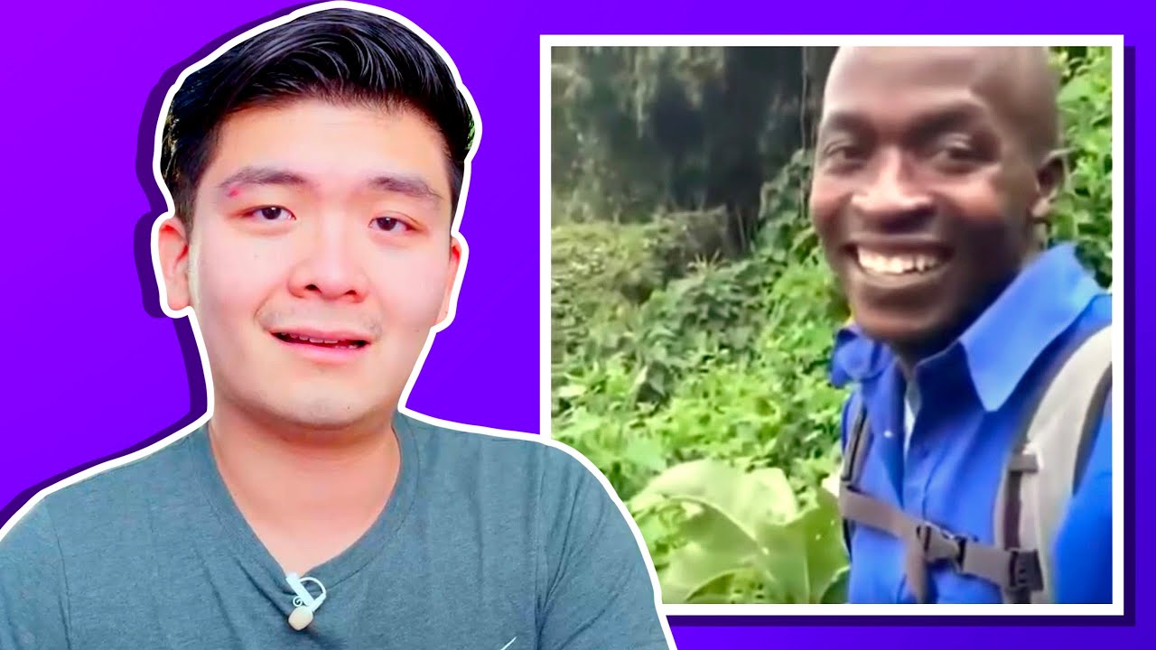 Vines that made me exhale air through my nose