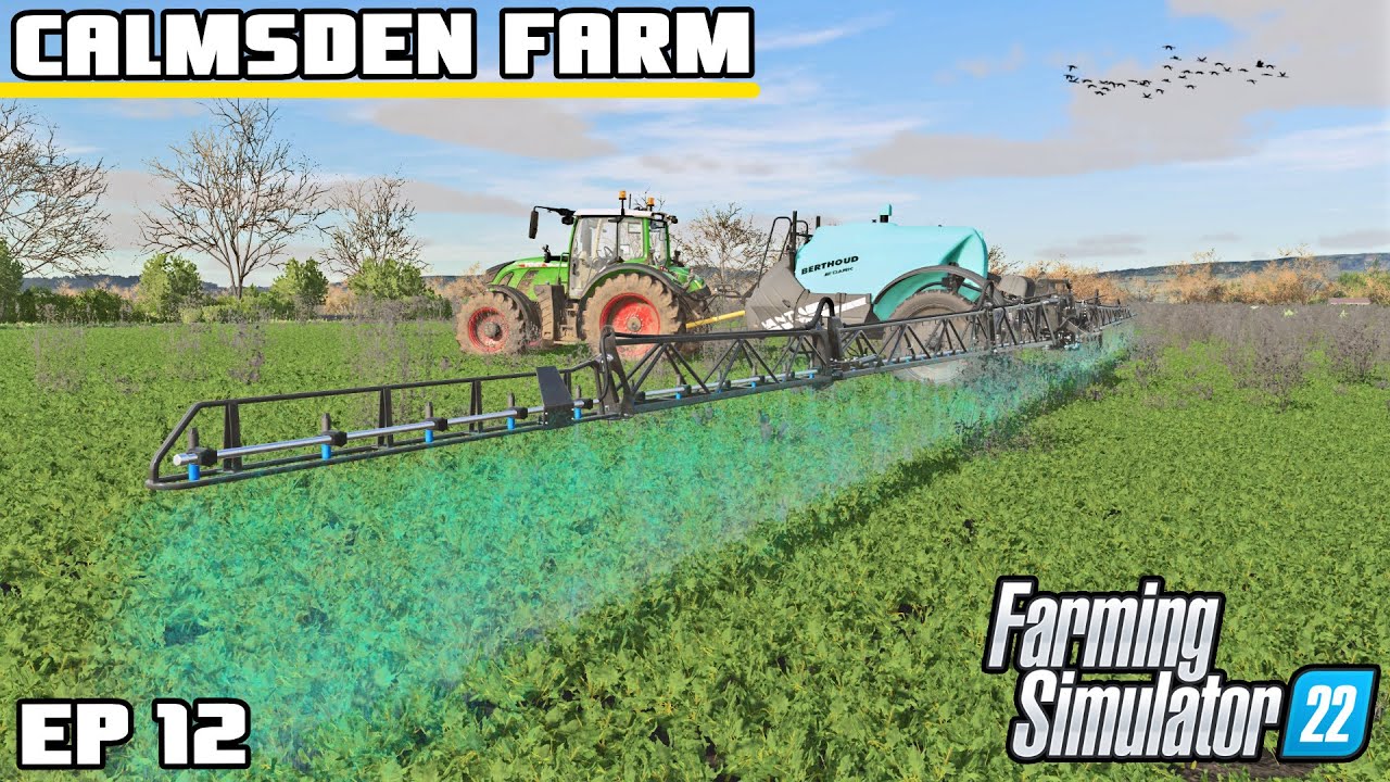 TODAY IS THE BIG DAY | Calmsden Farm | Farming Simulator 22 - Episode 12