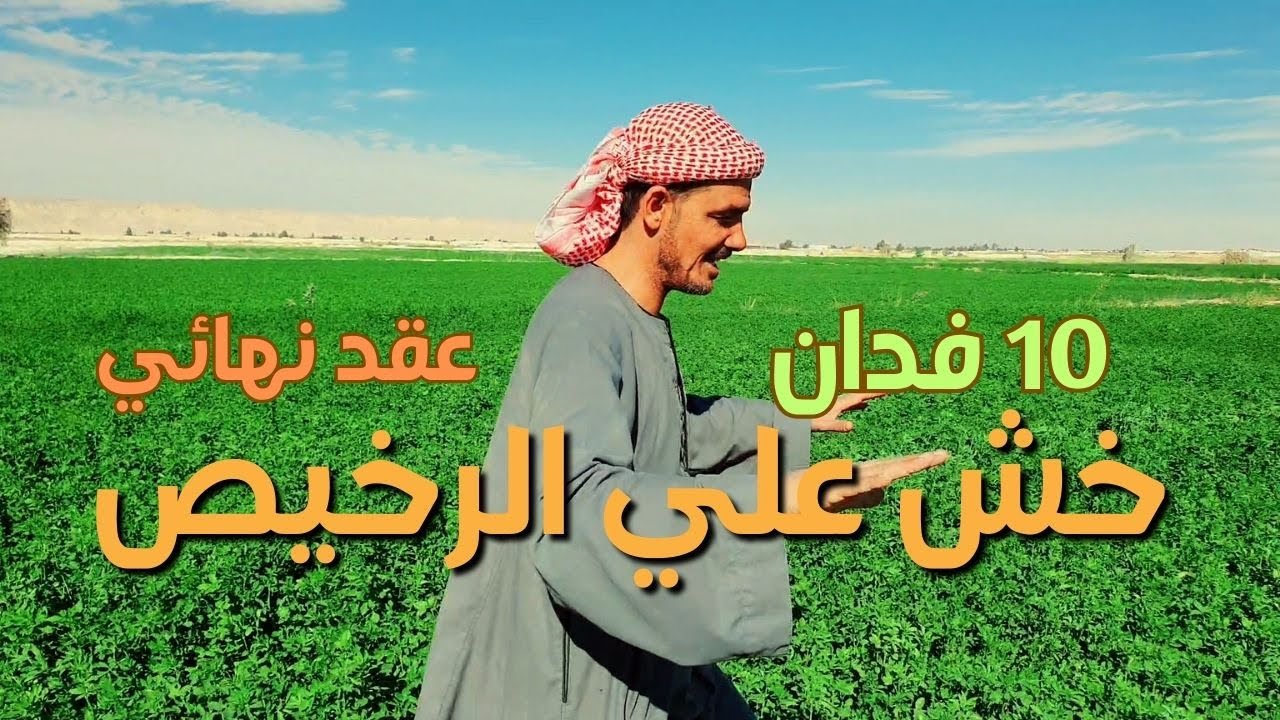 عرض جديد 10 فدان عقد نهائي للبيع ارض زراعيه |طائر الوادي