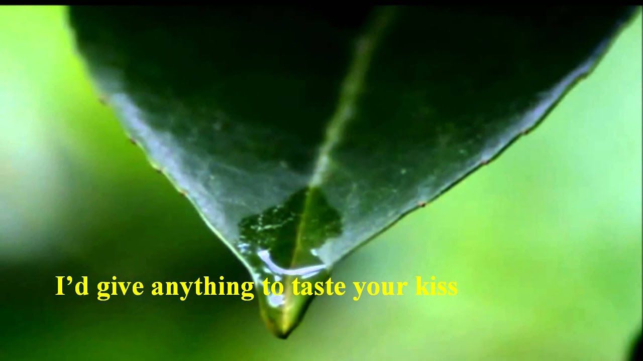 Terri Gibbs - Tell Me That You Love Me [w/lyrics]