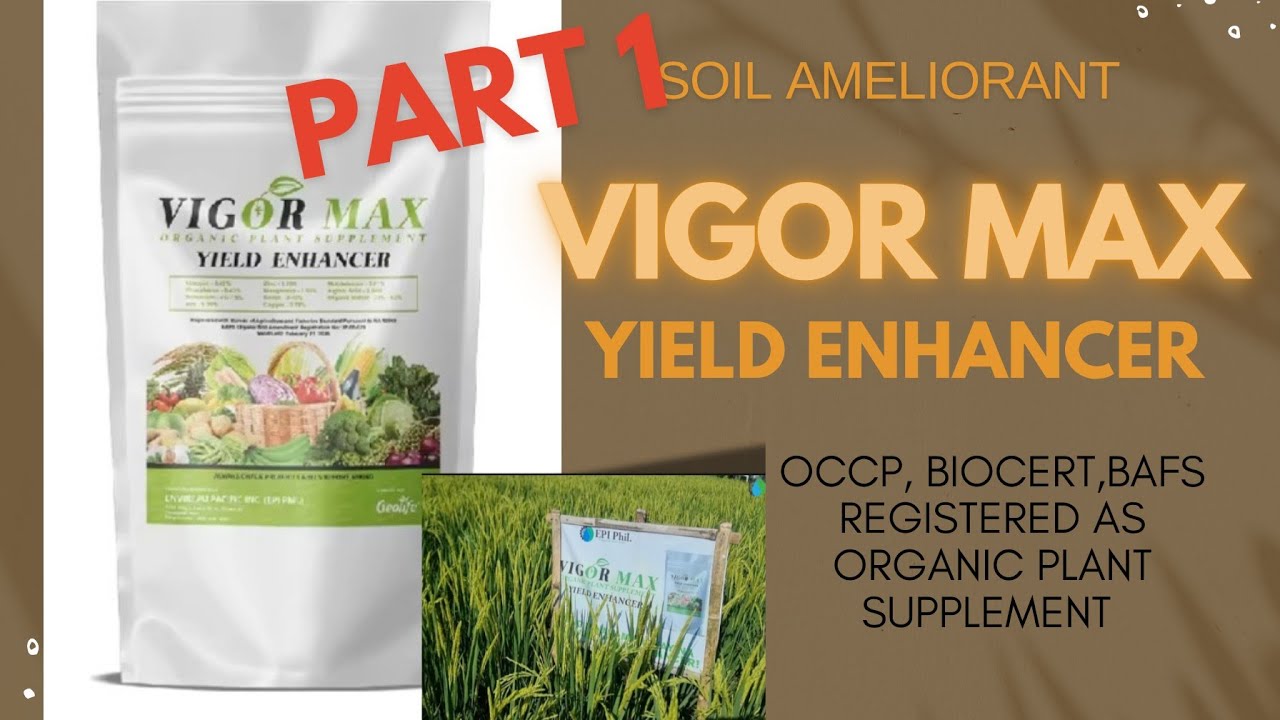 ANO ANG VIGOR MAX NA SOIL AMELIORANT
