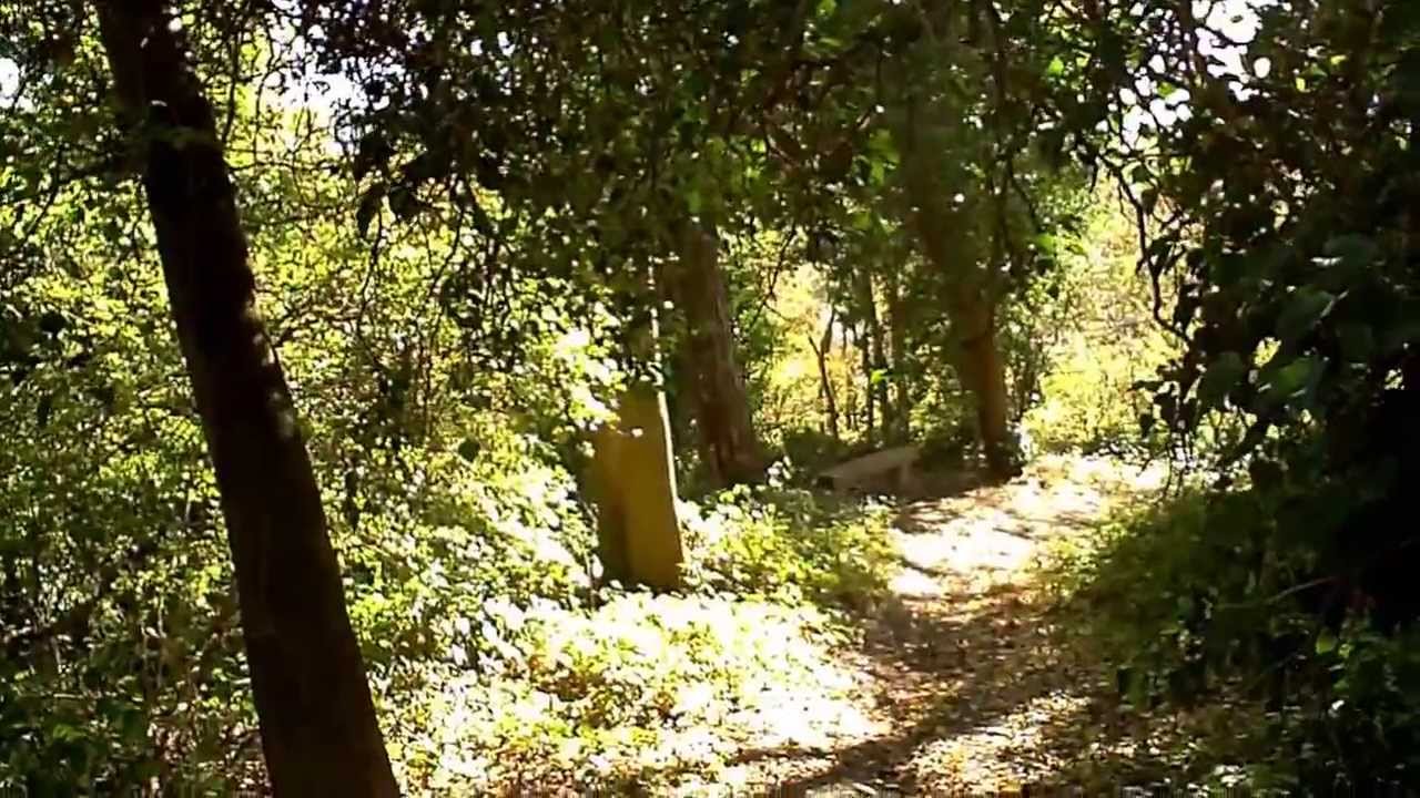 Promenade des terrils à Quaregnon.wmv