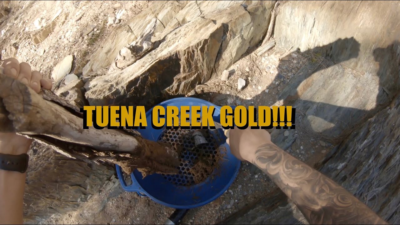 Tuena Creek GOLD! | FIRST TIME LUCK?!
