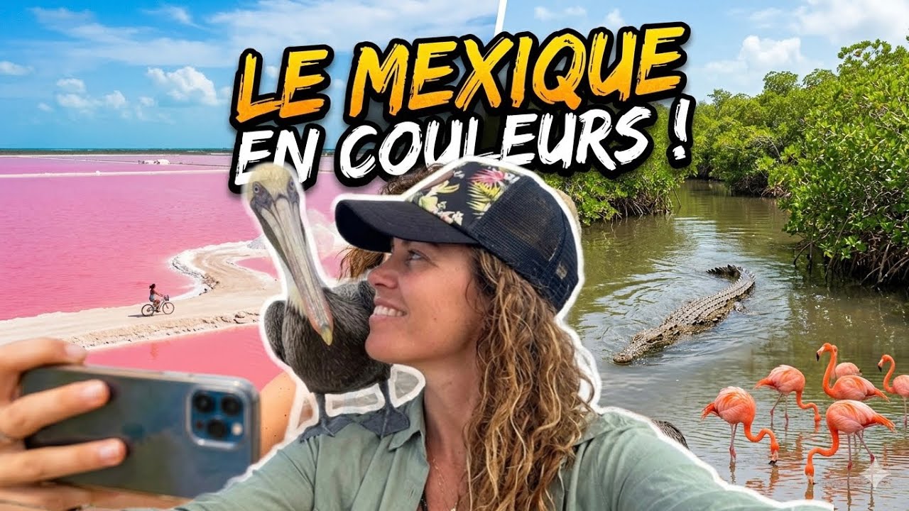 Rio lagartos et las Coloradas  #mexique #travelvlogs #mexico #rio #flamingo #crocodiles #saline 