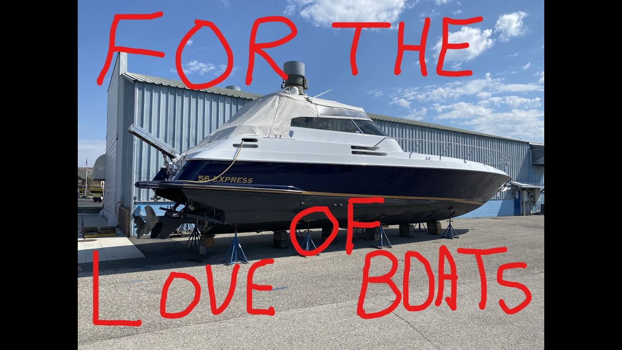 BOATS FOR THE LOVE OF GOD REALLY/THE WAYNE DIARIES
