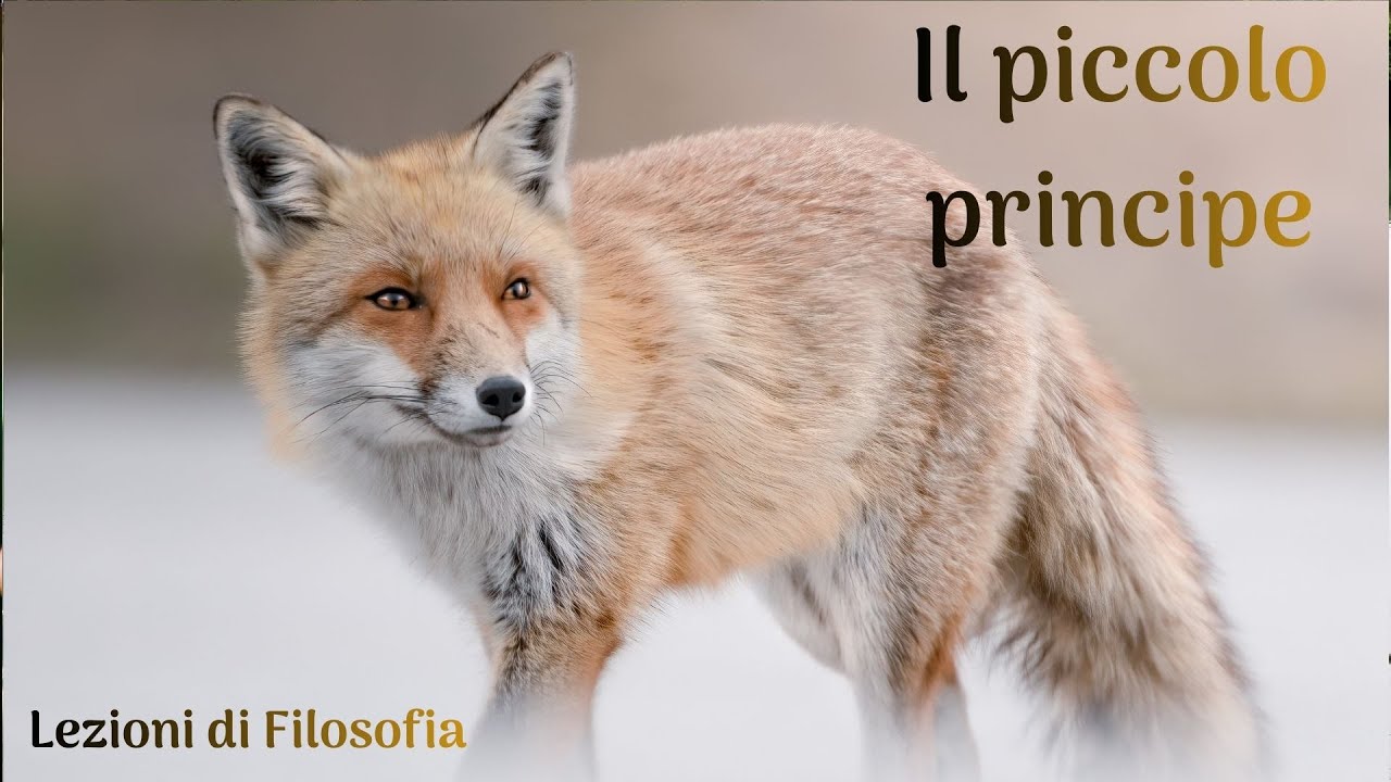 Favole e Filosofia: “Il piccolo principe”, Antoine de Saint-Exupery