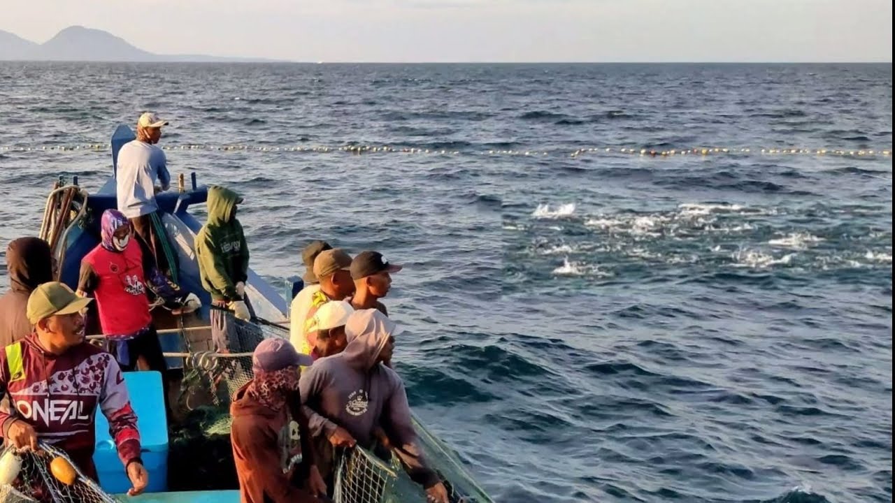 Pukat cincin, Nelayan Indonesia Dapat Banyak Ikan, luar biasa hasil tangkapan nelayan Indonesia
