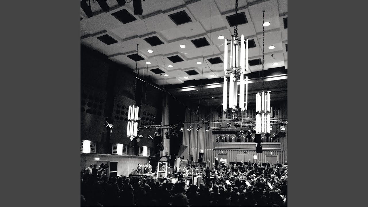 Para (Live with Radio Symphonieorchester Wien @ FM4 Radiosession)