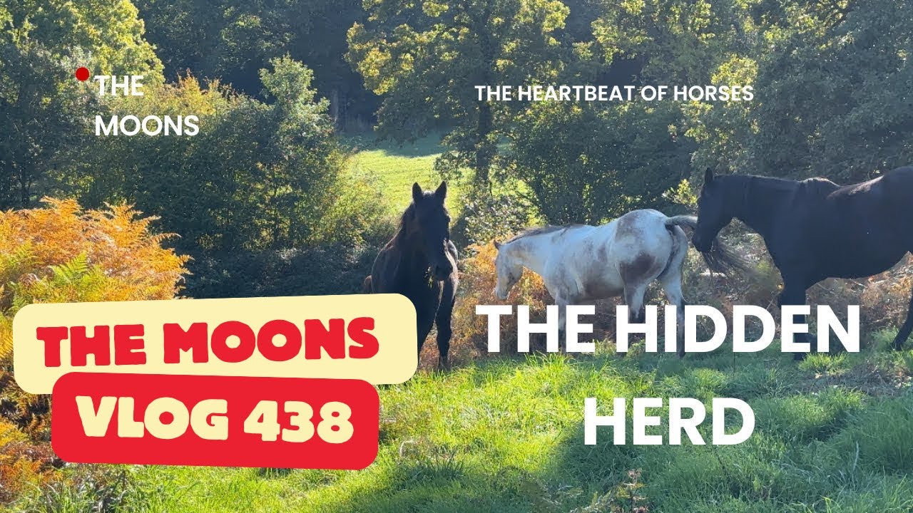“The Hidden Herd and Catching Up with Tiny Tim” 