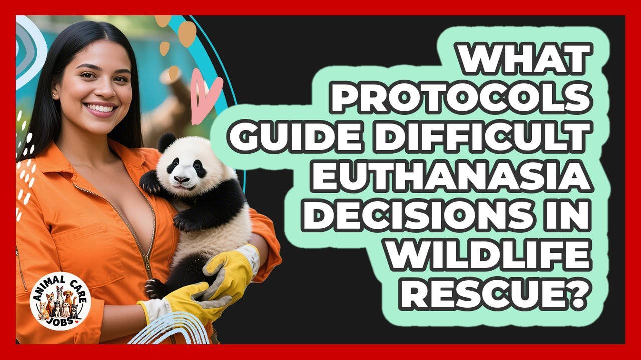 What Protocols Guide Difficult Euthanasia Decisions In Wildlife Rescue? - Animal Care Jobs
