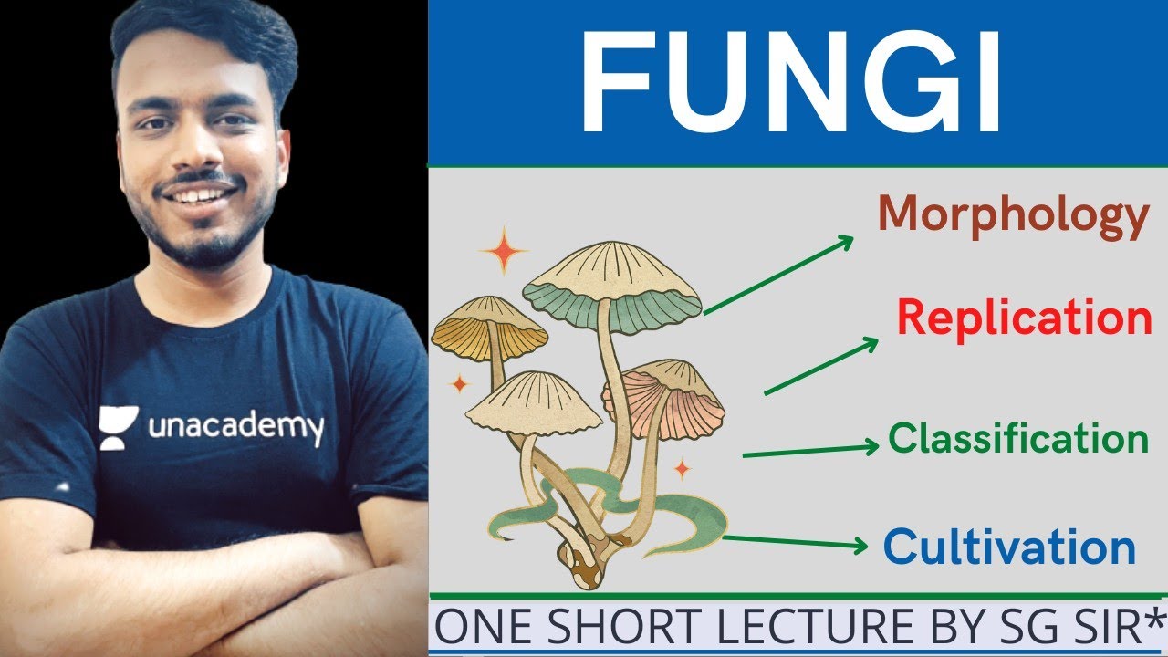 Fungi | morphology of fungi | classification of fungi | reproduction of fungi | cultivation of fungi