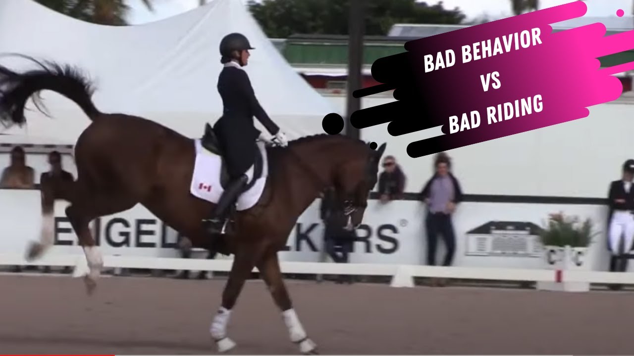What is Trigger Stacking? Grand Prix Dressage Horses Good Riding vs Bad