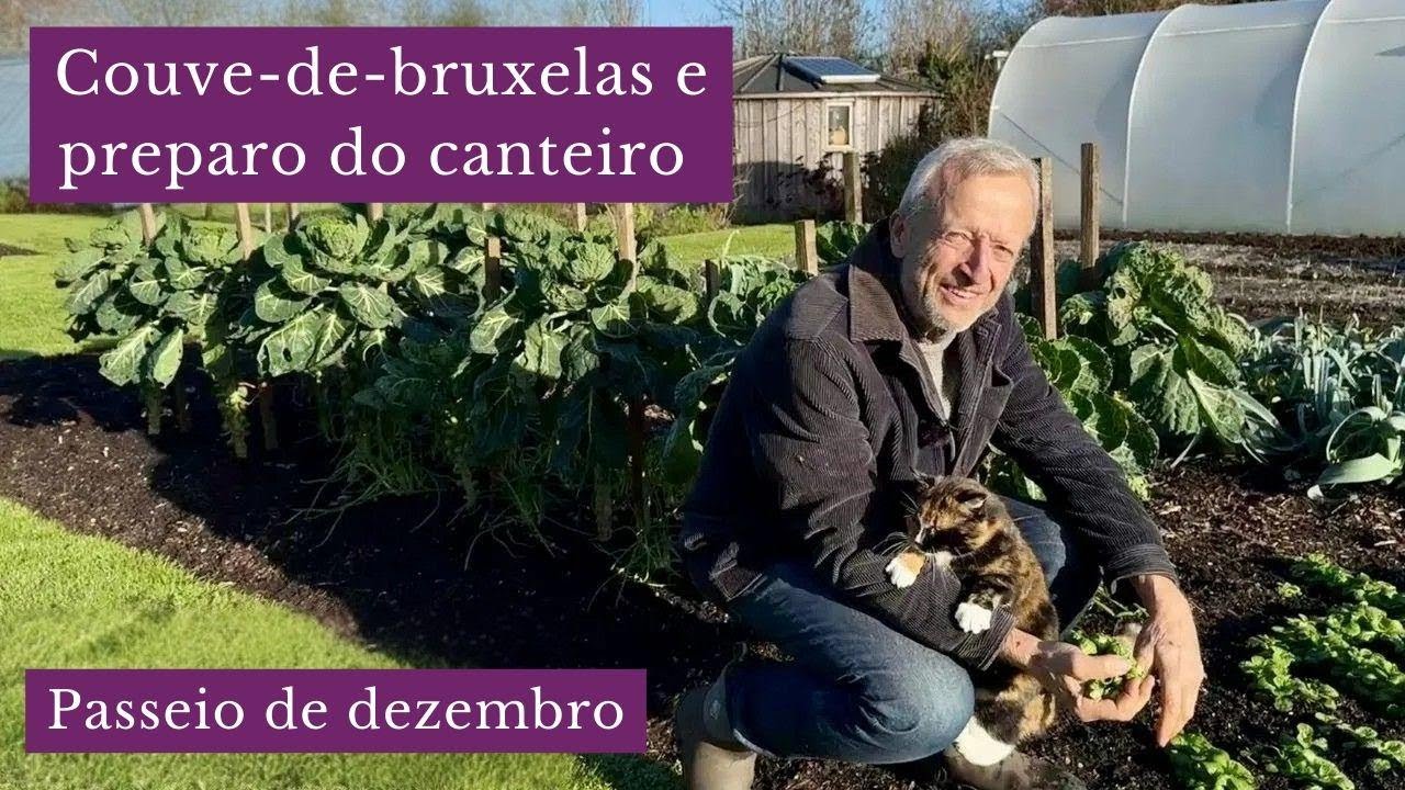 Tour da horta sem cavar: colheita de inverno e plantas que resistem ao frio
