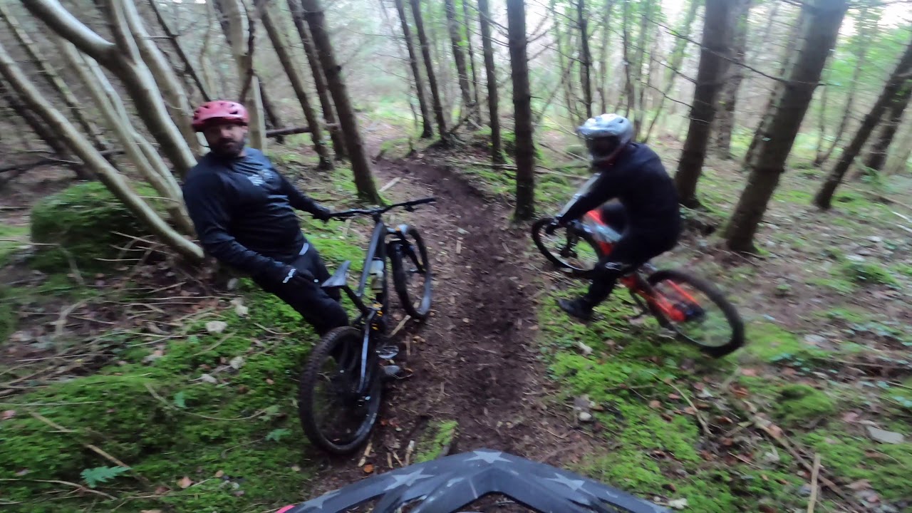 DH3 Rostrevor