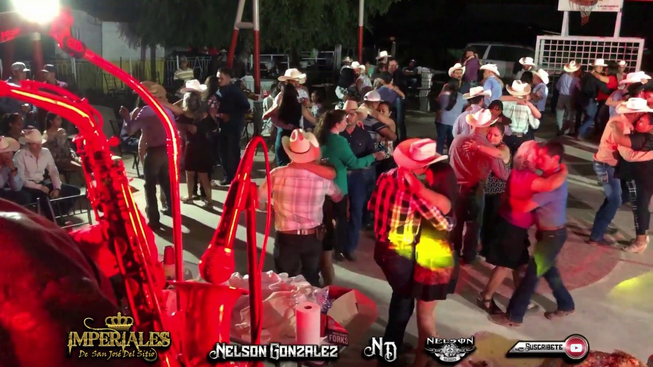 Imperiales De San José Del Sitio • Rosa Amarilla De Texas • [En Vivo Santa María 2019]