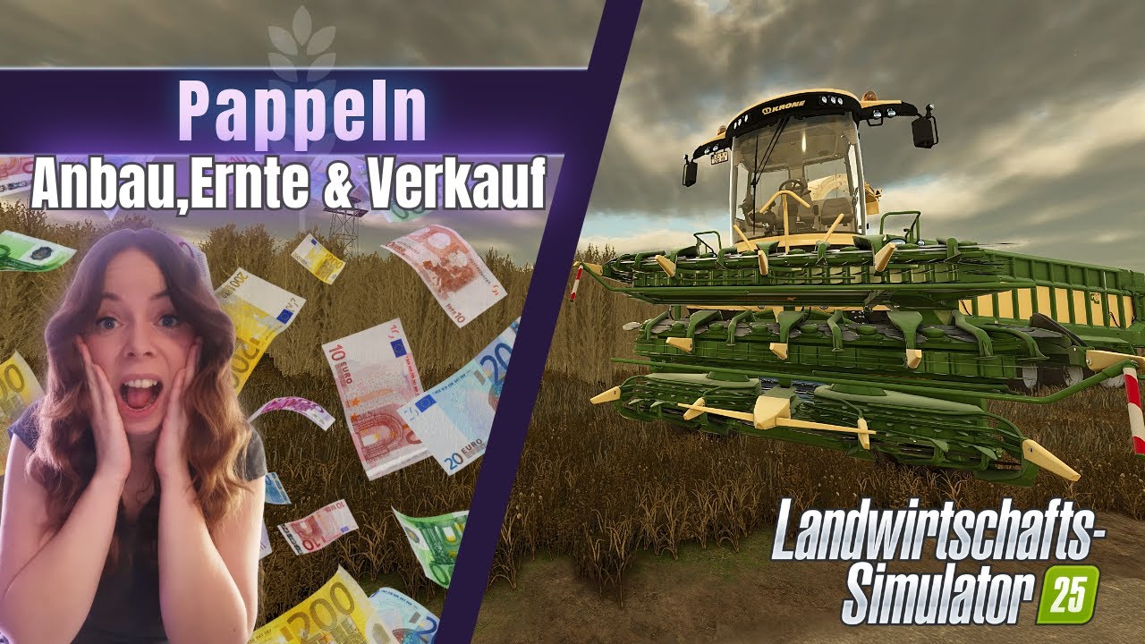 LS25 🚜 Reich durch Pappeln? Kein Pappelapapp! Pappeln Anbau, ernten & Verkauf