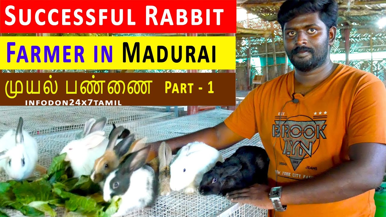 How to Start Rabbit Farm | Rabbit Farm🐇🐰 in Madurai | முயல் பண்ணை PART-1 | Infodon24x7Tamil