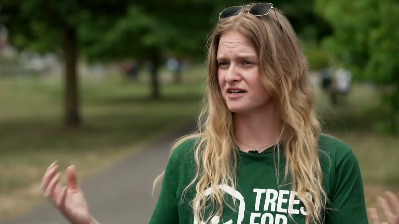 Council warns people not to sit under large trees