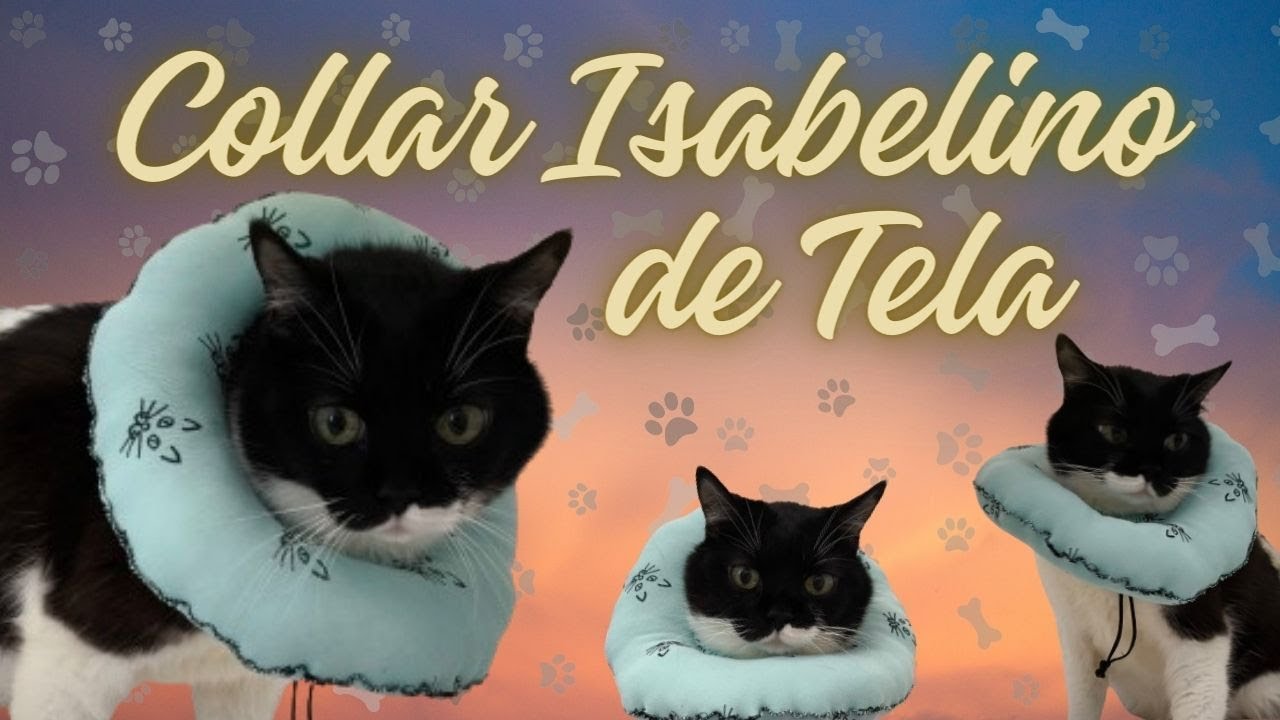 COLLAR ISABELINO TELA/DONA DE TELA PARA GATOS. FACIL Y ECONOMICO. RECICLANDO CAMISETAS. PETS DIYS.